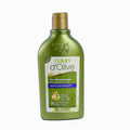 Dalan Anti Dandruff Shampoo With Olive Oil
