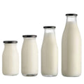 Milk Bottles Glass