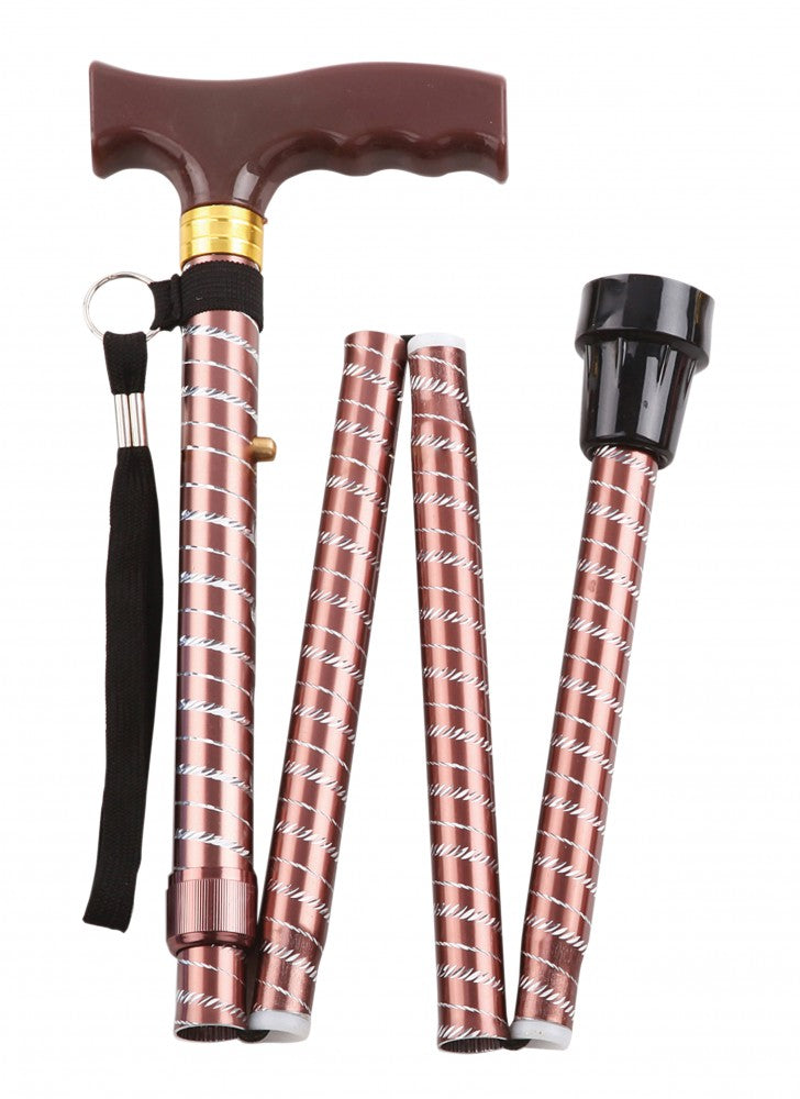 Extendable Walking Stick
