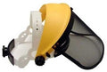 Face Shield Wiser