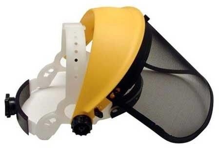 Face Shield Wiser